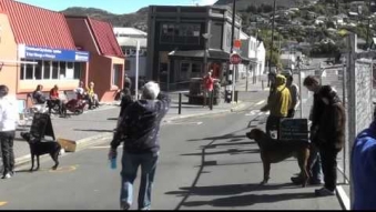 Embedded thumbnail for Rise up - Lyttelton